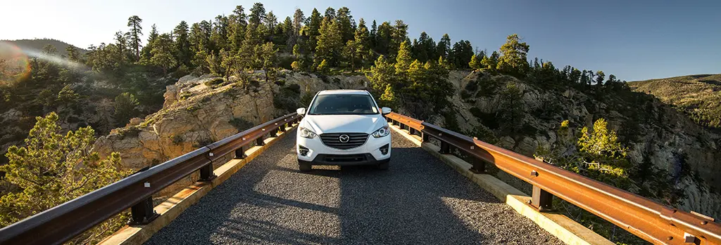 Estudia y Conoce Nueva Zelanda con un rent a car